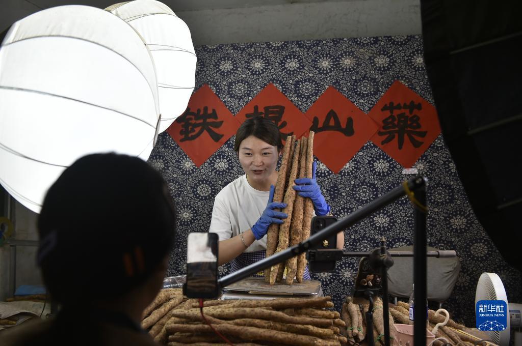 天天斗地主单机版下载